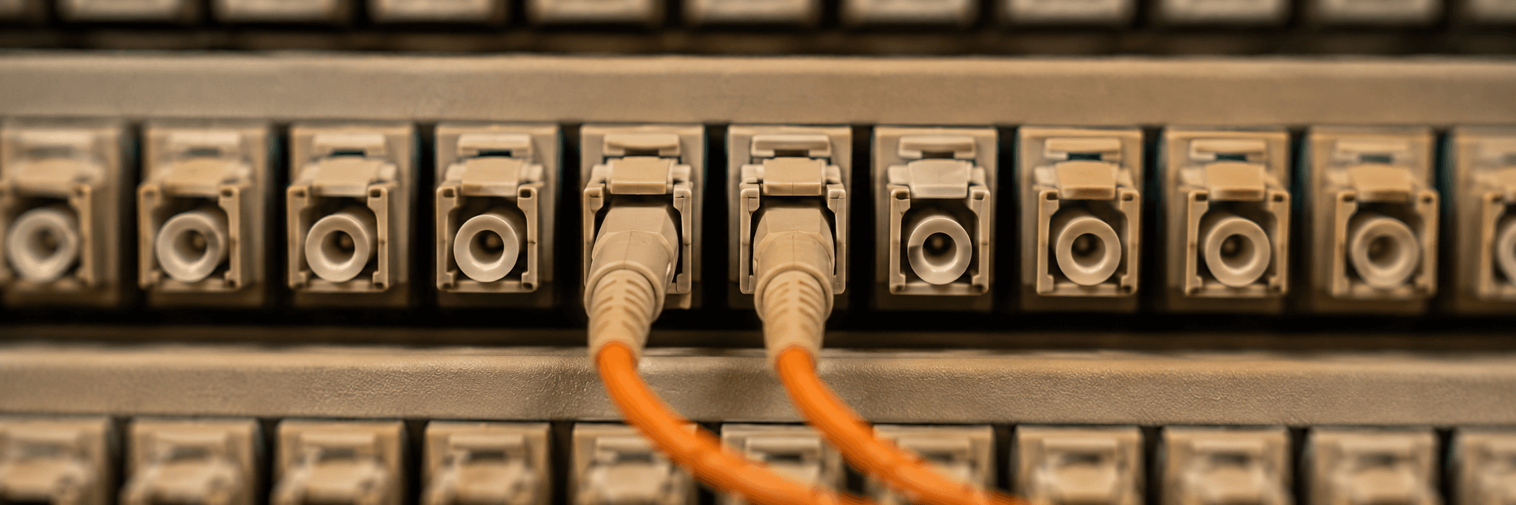 Macro photograph of a fibre optic patch panel with two orange patch leads.